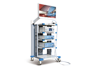 3D FHD Imaging System